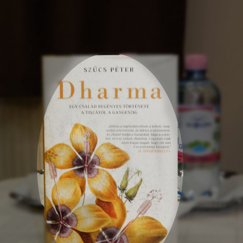 Dharma - könyvbemutató 01